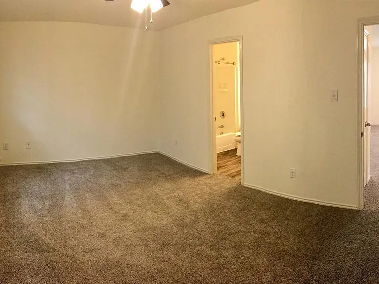 Master Bedroom (has walk-in closet)