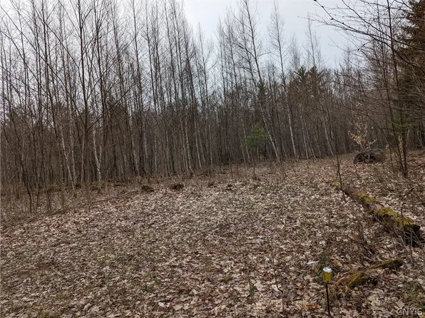 17 Cedar Ln, Glenfield, NY 13343