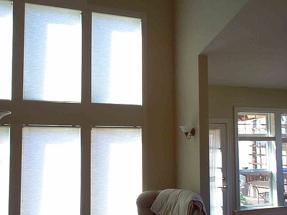bay window to back yard