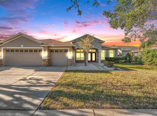 6305 Bridgevista Dr, Lithia, FL 33547