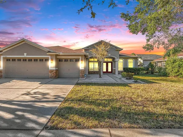 6305 Bridgevista Dr, Lithia, FL 33547
