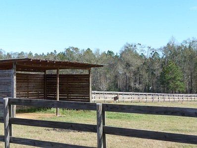 Acreage ready for an