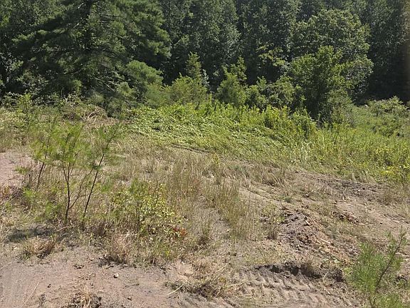 5th image of 265 Cox Rd