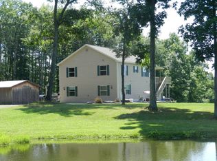 47 Candor Hill Rd, Candor, NY 13743