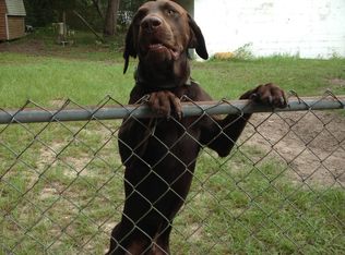 21235 Wolf Branch Rd, Mount Dora, FL 32757