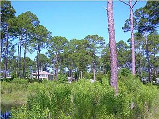2nd image of 1517 Doty Cir