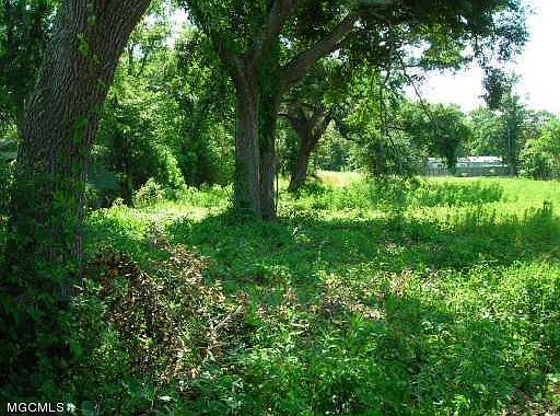 2nd image of 0 Bechtel Blvd