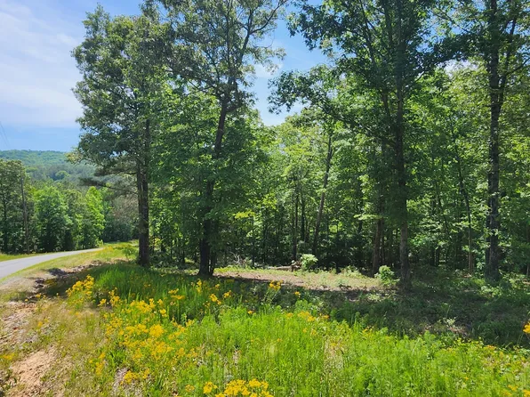 LOT 90 Barrel Knot Ct, Ellijay, GA 30536