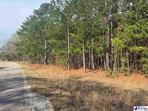 5th image of Willie Lear Rd