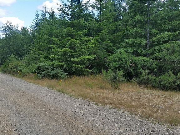 Intersection of Dewatto Hills and Tahuya-Blacksmith Roads up ahead.