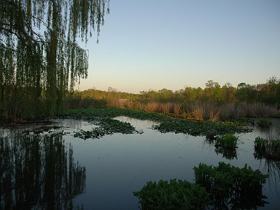 View of rear property
