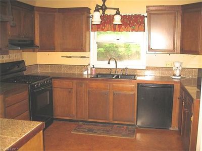 466 Mountain Laurel Dr, Columbus, NC, 28722