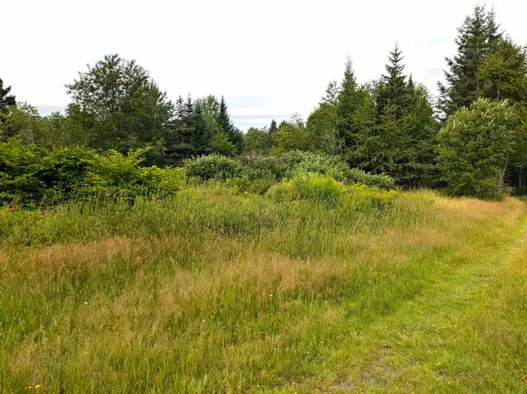 Lot 13 Bressette Road, Clarksville, NH 03592