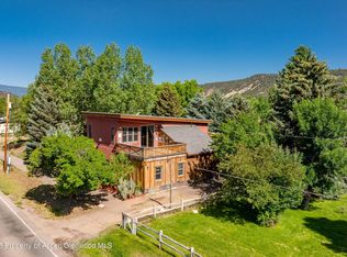 110 Easy St, El Jebel, CO 81623