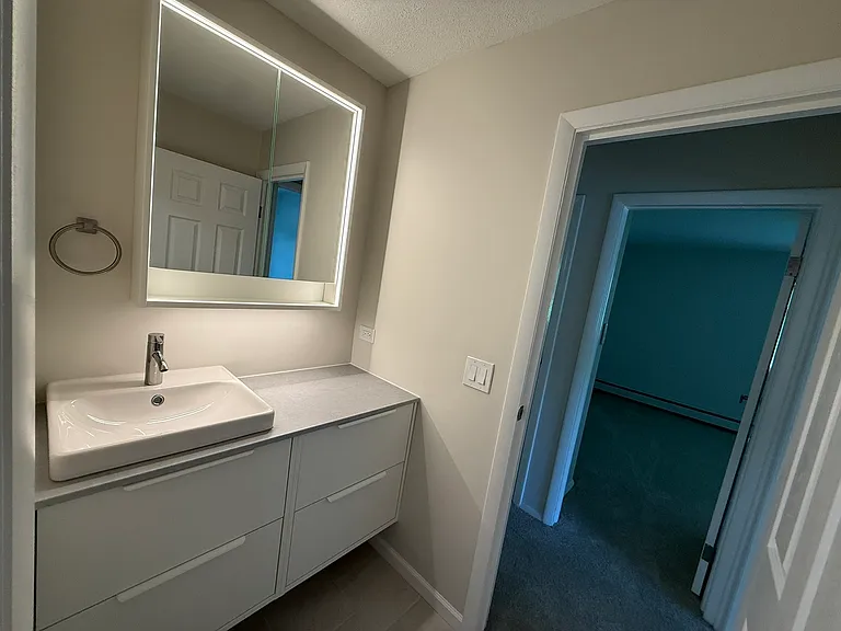 9S220 Lake Dr #16A-102 — Photo 11