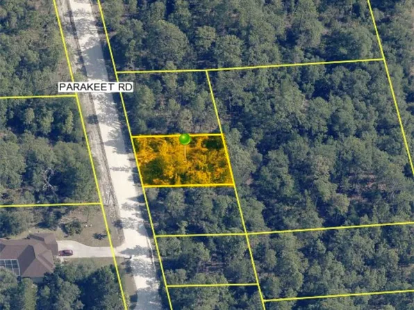 18170 Parakeet RD, WEEKI WACHEE, FL 34614