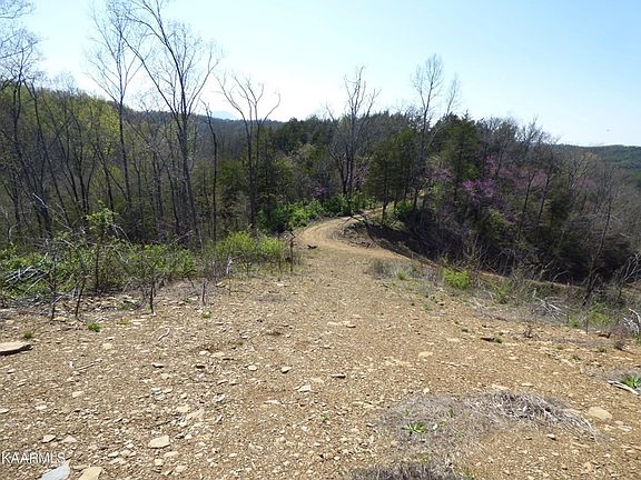 2nd image of 0 Parton Hollow Rd Lot 3