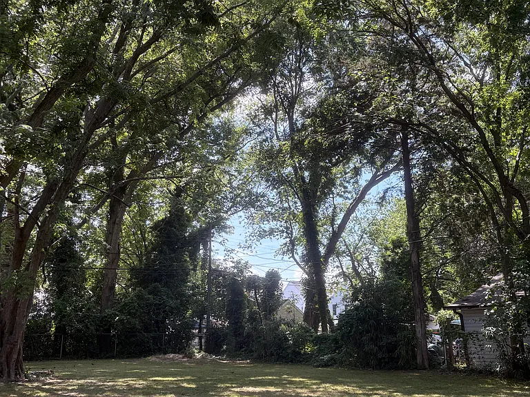 55 Pear Ave — Photo 9
