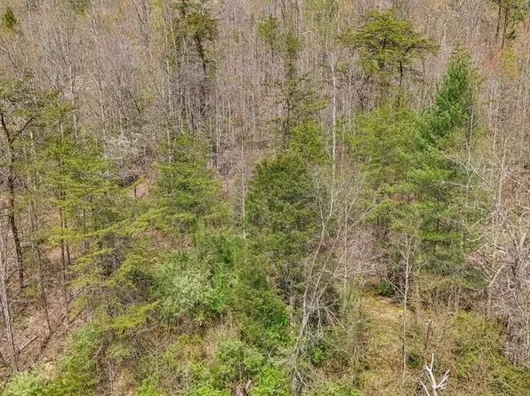 Roses Creek Rd, Clairfield, TN 37715