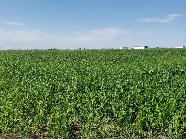 0 County Road 6, Wiggins, CO 80654