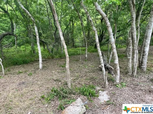 0 Keller Rd, Tivoli, TX 77990