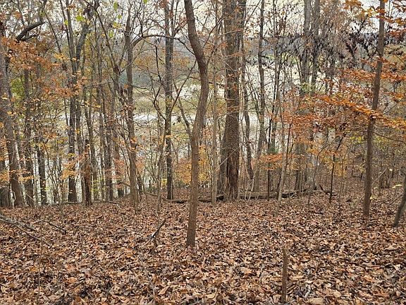 4th image of LOT 73 E Blue Water Rd #73E