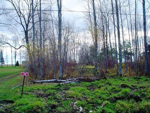 2nd image of 325 Bay Rd