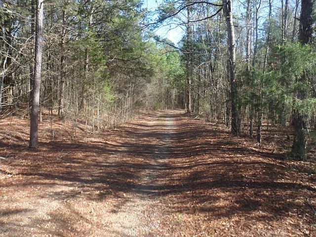 2nd image of 4350D Chamberlain Ferry Rd