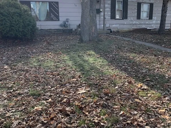 117 Clark St, Chenoa, IL 61726