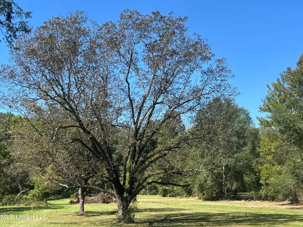 Pinehaven Rd Lot 1, Clinton, MS 39056