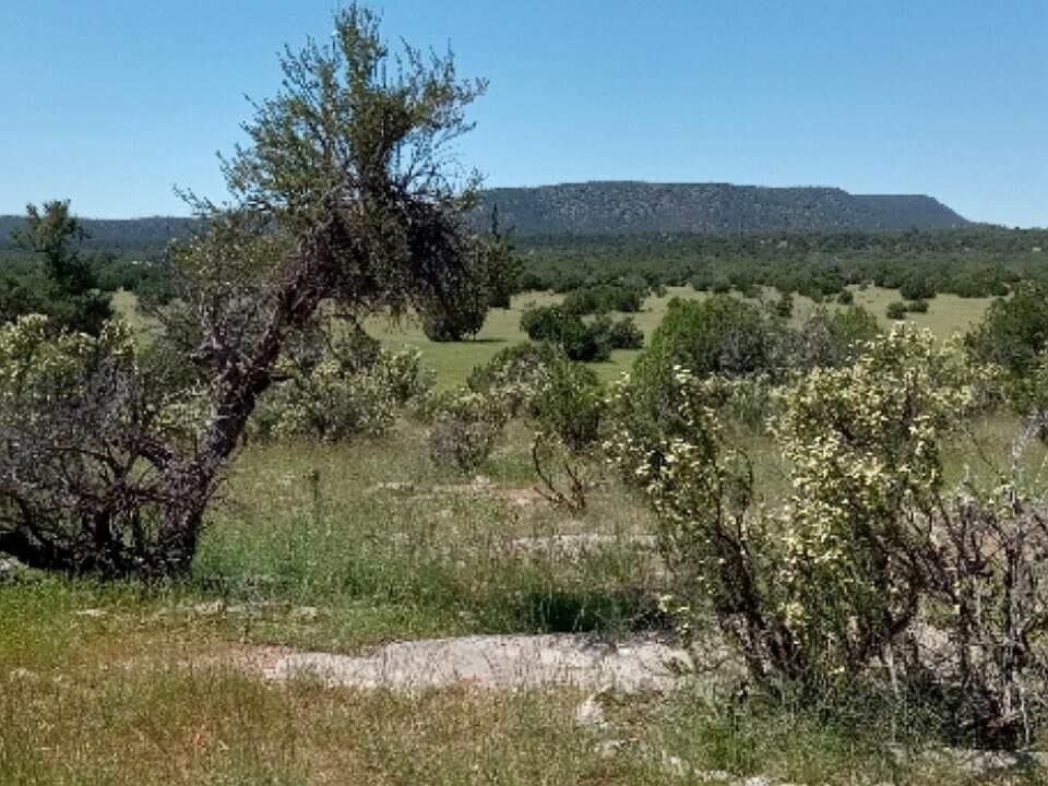 1st image of 54496 Calle Reposa