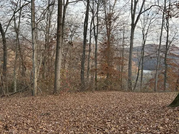 0 Robbins Ln, Byrdstown, TN 38549