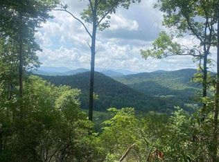 2 Oasis Dr #2, Blue Ridge, GA 30513