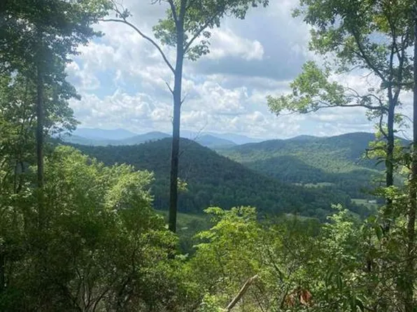 2 Oasis Dr #2, Blue Ridge, GA 30513