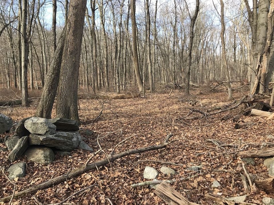 thumbnail_IMG_5884 (1).jpg