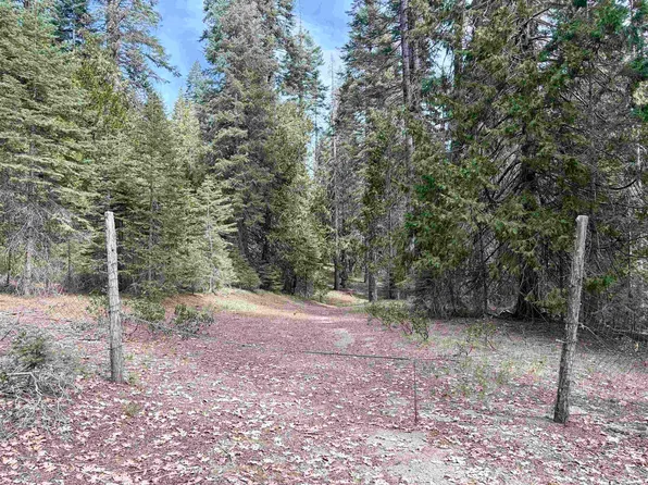 Ut 3 Bk I Lot 8, McCloud, CA 96057