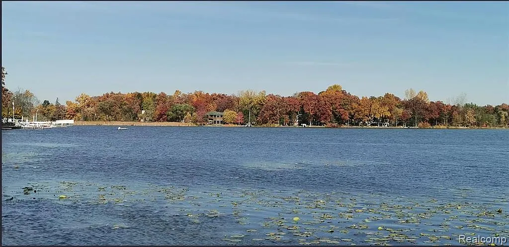 3 bed, 1.5 bath, 1574 sqft, $3,100 — Photo 4