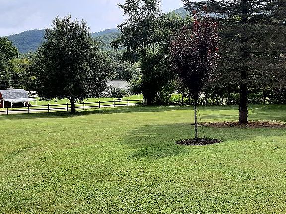 Large Flat Yard