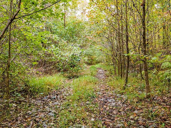 2nd image of Bandy Rd