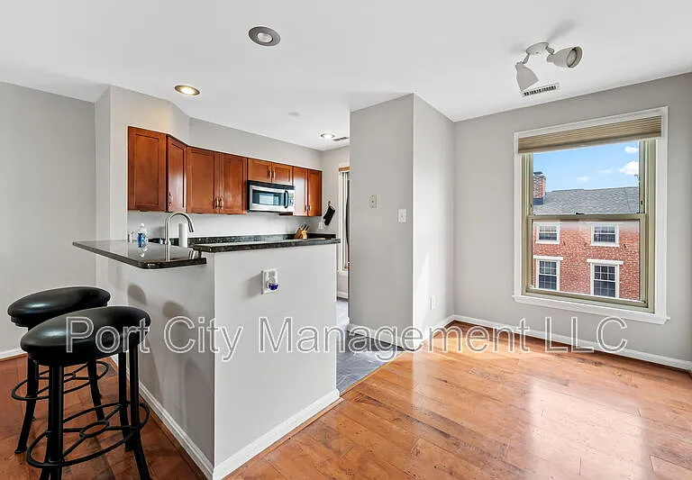 911 S Charles St #310 — Photo 10