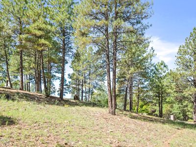 1654 N Wood Hollow Way, Flagstaff, AZ, 86004