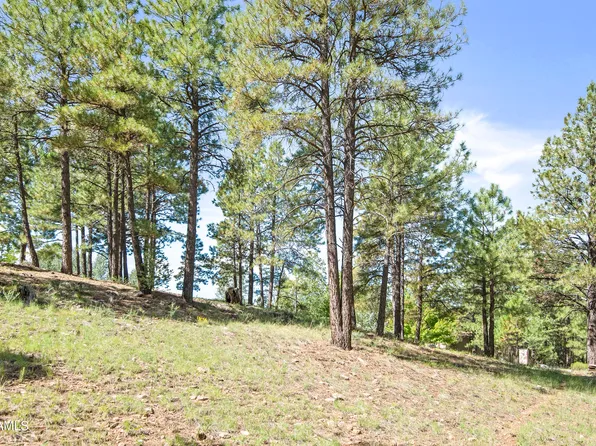 1654 N Wood Hollow Way, Flagstaff, AZ 86004