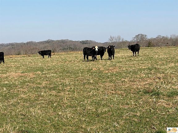 5th image of 5 Salt Lick Rd