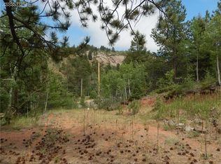 6621 County Rd 1, Florissant, CO 80816