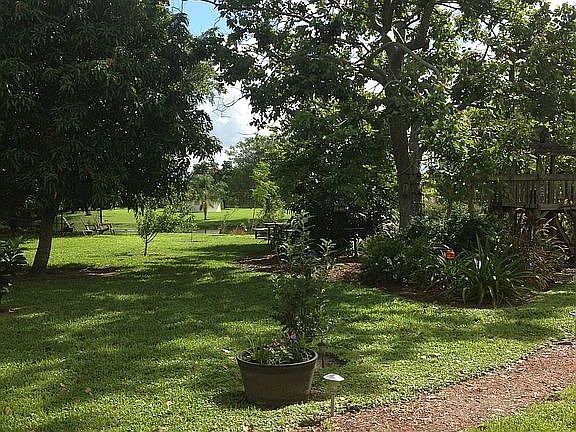 mango,papaya, pineapple