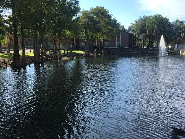 Lake