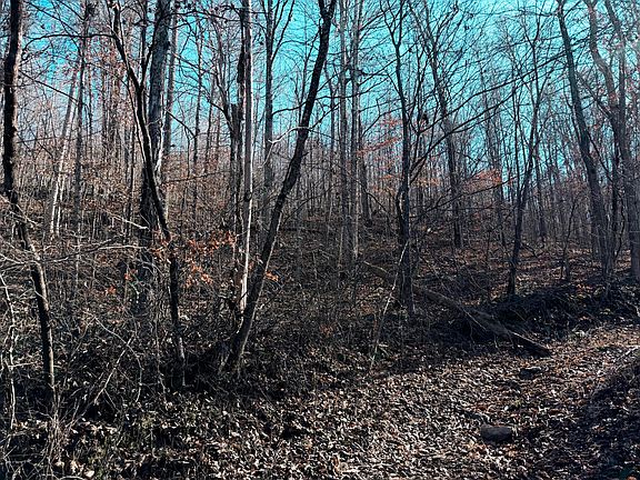 2nd image of 198 E Dan Dishman Rd