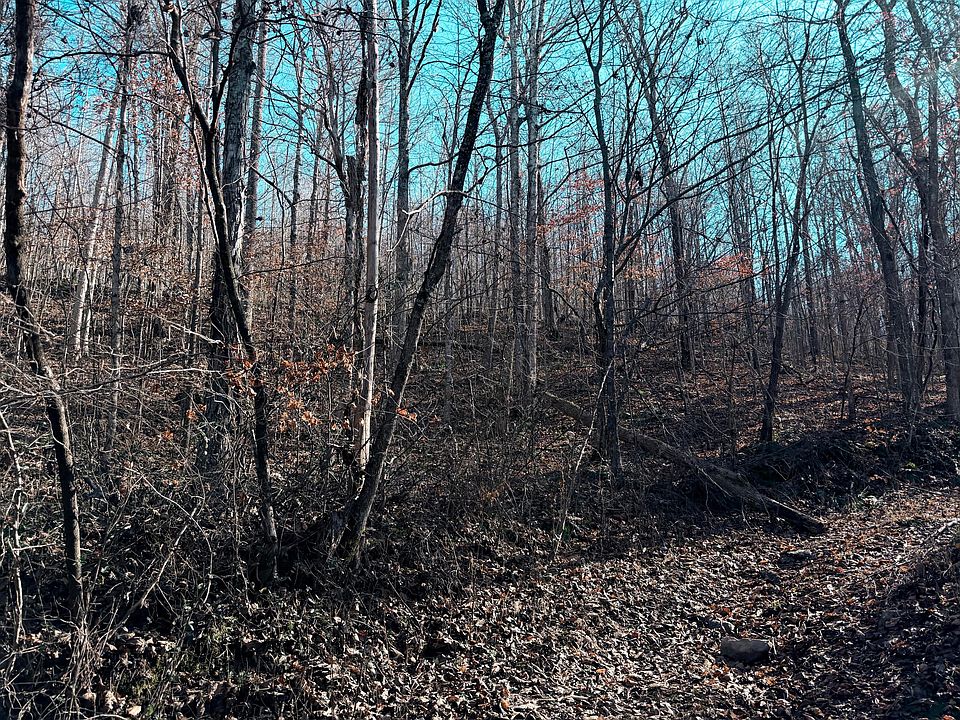 2nd image of 198 E Dan Dishman Rd