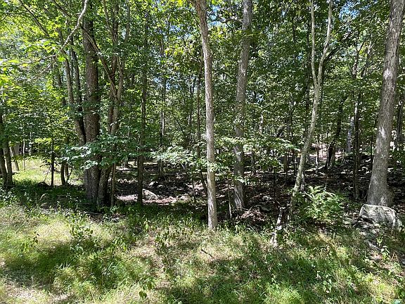 2nd image of 271 Saunders Ct