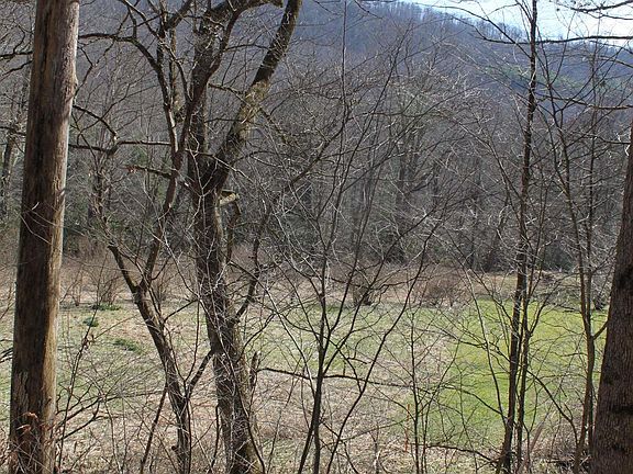 4th image of 1625 Gauley River Rd